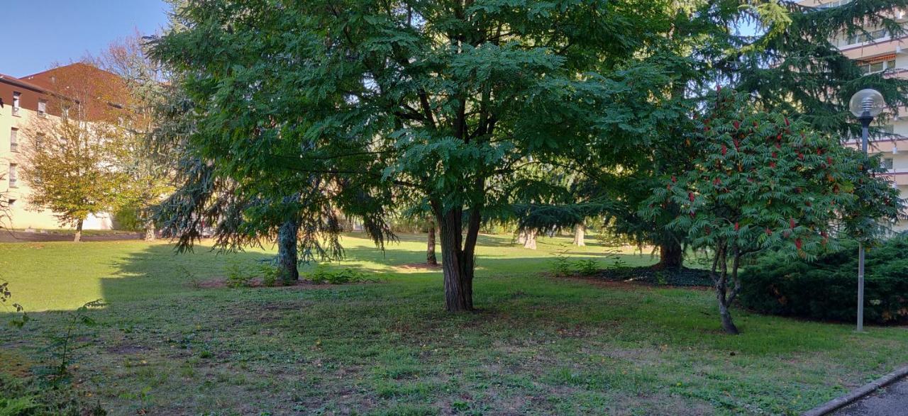 Le petit Manhattan - T2 de 45 m2 - 2 à 4 personnes à Metz Extérieur photo